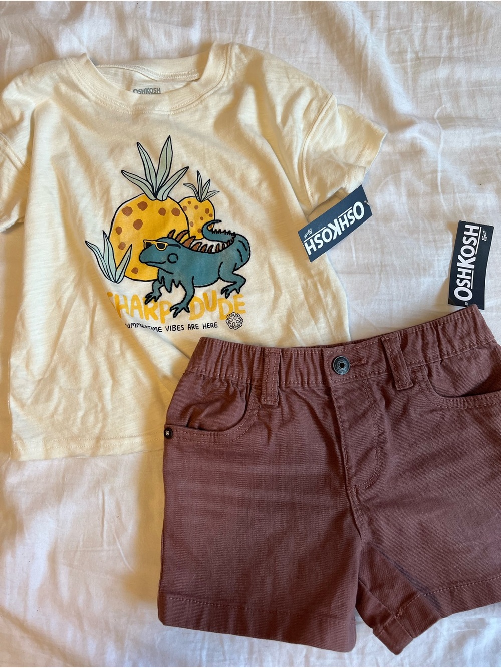 BNWT OshKosh Dino Pineapple Tee & Rusty Brown Shorts Set